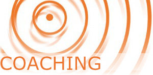 Coaching Beratung für Geschäftsführer Unternehmer Führungskräfte Executive Business-Coaching Karriere-Coaching